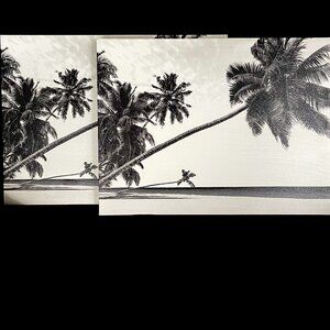 Black and White Palm Tree Wrapped Canvas 18x24